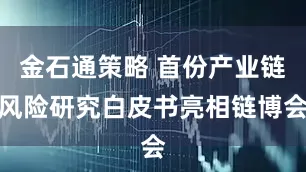 金石通策略 首份产业链风险研究白皮书亮相链博会