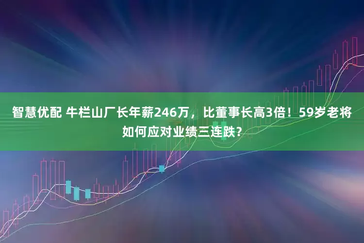 智慧优配 牛栏山厂长年薪246万，比董事长高3倍！59岁老将如何应对业绩三连跌？