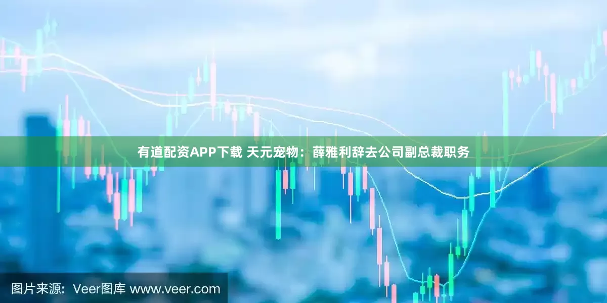 有道配资APP下载 天元宠物：薛雅利辞去公司副总裁职务